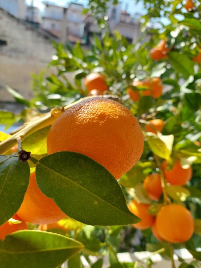 Orange Tree Apartment アスプロヴァルタ エクステリア 写真